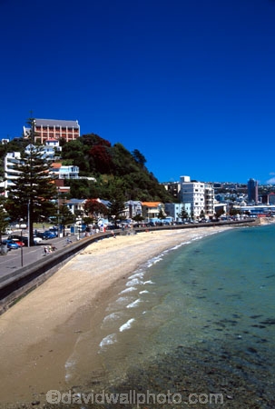 harbor;harbour;harbours;harbors;waterfront;shoreline;beach;apartments;capital