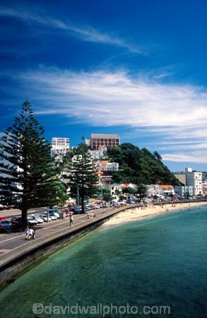 harbor;harbour;harbours;harbors;waterfront;shoreline;shore;coast;coastal;caostline;beach;beaches;apartments;capital;oriental-bay;summer