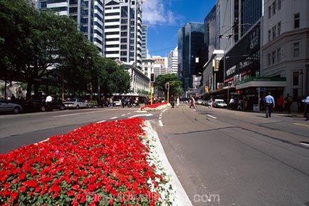 lambton-quay;wellington;skyline;sky-scrapers;offices;office;skyscraper;skyscrapers;sky-scraper;blocks;highrise;cbd;central;business;district;modern;architecture;edgy;city;cities;Exterior;Facade;Façade;Facades;Façades;cityscape;cityscapes;flower;flowers;red;garden;gardens;road;roads;street;streets