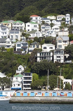 building;buildings;capital;capitals;Clyde-Quay-Marina;communities;community;harbor;harbors;harbour;harbours;heritage;hillside;historic;historic-building;historic-buildings;historical;historical-building;historical-buildings;history;home;homes;house;houses;housing;Lambton-Harbour;N.I.;N.Z.;neigborhood;neigbourhood;New-Zealand;NI;North-Is;North-Island;NZ;old;Oriental-Bay;Port-Nicholson;resdential;residences;residential;steep;street;streets;suburb;suburban;suburbia;suburbs;tradition;traditional;urban;villa;waterfront;Wellington;Wellington-Harbour