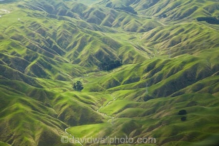 aerial;aerial-photo;aerial-photograph;aerial-photographs;aerial-photography;aerial-photos;aerial-view;aerial-views;aerials;agricultural;agriculture;country;countryside;farm;farming;farmland;farms;field;fields;green-valleys;meadow;meadows;N.I.;N.Z.;New-Zealand;NI;North-Is;North-Island;Nth-Is;NZ;Ohariu;paddock;paddocks;pasture;pastures;rural;Wellington