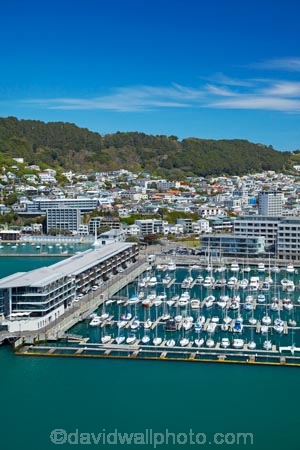 accommodation;aerial;aerial-image;aerial-images;aerial-photo;aerial-photograph;aerial-photographs;aerial-photography;aerial-photos;aerial-view;aerial-views;aerials;apartment;apartment-development;apartments;boat;boat-harbor;boat-harbors;boat-harbour;boat-harbours;boats;Chaffers-Marina;cities;city;cityscape;cityscapes;Clyde-Quay-Wharf;Clyde-Quay-Wharf-apartment-development;Clyde-Quay-Wharf-luxury-apartments;coast;coastal;coastline;coastlines;coasts;condo;condominium;condominiums;condos;cruiser;cruisers;Former-Post-and-Telegraph-Building;harbor;harbors;harbour;harbours;holiday;holiday-accommodation;Holidays;launch;launches;marina;marinas;N.I.;N.Z.;New-Zealand;NI;North-Is;North-Island;NZ;Overseas-Passenger-Terminal;Port-Nicholson;residential;residential-apartment;residential-apartments;residential-building;residential-buildings;sea;seas;shore;shoreline;shorelines;shores;Te-Whanganui_a_Tara;water;Wellington;Wellington-Harbor;Wellington-Harbour;yacht;yachts