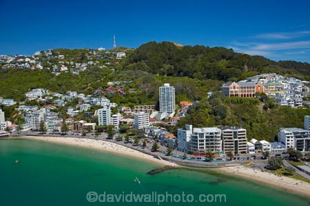 accommodation;aerial;aerial-image;aerial-images;aerial-photo;aerial-photograph;aerial-photographs;aerial-photography;aerial-photos;aerial-view;aerial-views;aerials;apartment;apartments;bay;bays;beach;beaches;cities;city;cityscape;cityscapes;coast;coastal;coastline;coastlines;coasts;condo;condominium;condominiums;condos;harbor;harbors;harbour;harbours;holiday;holiday-accommodation;Holidays;Mount-Victoria;Mt-Victoria;Mt.-Victoria;N.I.;N.Z.;New-Zealand;NI;North-Is;North-Island;NZ;Oriental-Bay;Oriental-Parade;Port-Nicholson;residential;residential-apartment;residential-apartments;residential-building;residential-buildings;sea;seas;seaside;shore;shoreline;shorelines;shores;St-Gerards-Church-and-Monastery;St-Gerards-Monastery;St-Gerards-Church-and-Monastery;St-Gerards-Monastery;summer;Te-Whanganui_a_Tara;water;waterside;Wellington;Wellington-Harbor;Wellington-Harbour