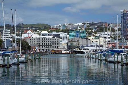 boat;boat-harbor;boat-harbors;boat-harbour;boat-harbours;boats;calm;capital;capitals;Chaffers-Marina;coast;coastal;cruiser;cruisers;harbor;harbors;harbour;harbours;launch;launches;marina;marinas;mast;masts;mooring;N.I.;N.Z.;New-Zealand;NI;North-Is;North-Is.;North-Island;Nth-Is;NZ;placid;port;Port-Nicholson;ports;quiet;reflected;reflection;reflections;sail;sailing;serene;smooth;still;Te-Whanganui_a_Tara;tranquil;water;waterfront;Wellington;Wellington-Harbor;Wellington-Harbour;Wellington-Waterfront;yacht;yachts