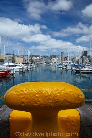 boat;boat-harbor;boat-harbors;boat-harbour;boat-harbours;boats;bolalrs;bollard;capital;capitals;Chaffers-Marina;coast;coastal;cruiser;cruisers;harbor;harbors;harbour;harbours;launch;launches;marina;marinas;mast;masts;mooring;N.I.;N.Z.;New-Zealand;NI;North-Is;North-Is.;North-Island;Nth-Is;NZ;port;ports;sail;sailing;waterfront;Wellington;yacht;yachts;yellow-bollard;yellow-bollards