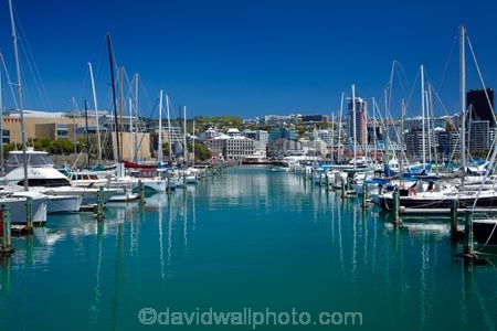 boat;boat-harbor;boat-harbors;boat-harbour;boat-harbours;boats;calm;capital;capitals;Chaffers-Marina;coast;coastal;cruiser;cruisers;harbor;harbors;harbour;harbours;launch;launches;marina;marinas;mast;masts;mooring;N.I.;N.Z.;New-Zealand;NI;North-Is;North-Is.;North-Island;Nth-Is;NZ;placid;port;Port-Nicholson;ports;quiet;reflected;reflection;reflections;sail;sailing;serene;smooth;still;Te-Whanganui_a_Tara;tranquil;water;waterfront;Wellington;Wellington-Harbor;Wellington-Harbour;Wellington-Waterfront;yacht;yachts