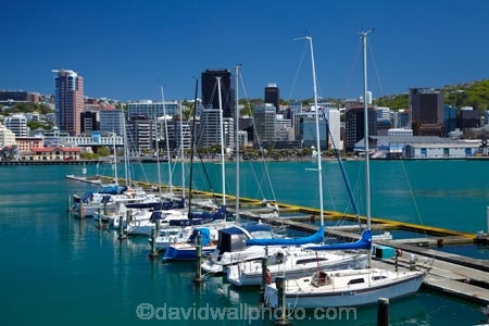 boat;boat-harbor;boat-harbors;boat-harbour;boat-harbours;boats;capital;capitals;Chaffers-Marina;coast;coastal;cruiser;cruisers;harbor;harbors;harbour;harbours;launch;launches;marina;marinas;mast;masts;mooring;N.I.;N.Z.;New-Zealand;NI;North-Is;North-Is.;North-Island;Nth-Is;NZ;port;Port-Nicholson;ports;sail;sailing;Te-Whanganui_a_Tara;waterfront;Wellington;Wellington-Harbor;Wellington-Harbour;Wellington-Waterfront;yacht;yachts