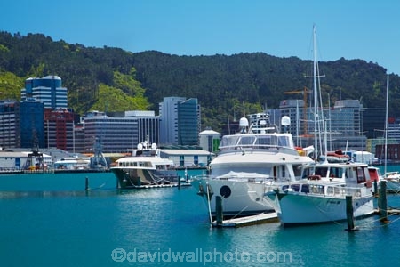 boat;boat-harbor;boat-harbors;boat-harbour;boat-harbours;boats;capital;capitals;Chaffers-Marina;coast;coastal;cruiser;cruisers;harbor;harbors;harbour;harbours;launch;launches;marina;marinas;mast;masts;mooring;N.I.;N.Z.;New-Zealand;NI;North-Is;North-Is.;North-Island;Nth-Is;NZ;port;Port-Nicholson;ports;sail;sailing;Te-Ahumairangi-Hill;Te-Whanganui_a_Tara;Tinakori-Hill;waterfront;Wellington;Wellington-Harbor;Wellington-Harbour;Wellington-Waterfront;yacht;yachts