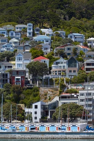 building;buildings;capital;capitals;Clyde-Quay-Marina;communities;community;heritage;hillside;historic;historic-building;historic-buildings;historical;historical-building;historical-buildings;history;home;homes;house;houses;housing;N.I.;N.Z.;neigborhood;neigbourhood;New-Zealand;NI;North-Is;North-Is.;North-Island;Nth-Is;NZ;old;Oriental-Bay;resdential;residences;residential;steep;street;streets;suburb;suburban;suburbia;suburbs;tradition;traditional;urban;villa;Wellington