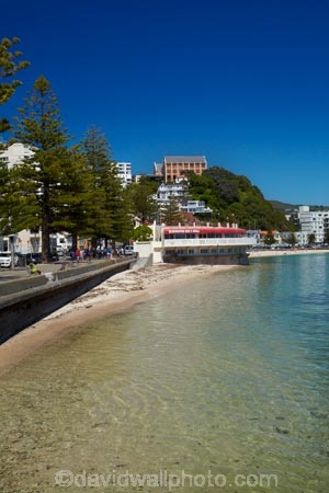beach;beaches;Bluewater-Bar-amp;-Grill;Bluewater-Bar-and-Grill;Bluewater-Restaurant;Catholic-Church-Monastery-of-St-Gerard;coast;coastal;harbor;harbors;harbour;harbours;Monastery;Monastery-of-St-Gerard;Monateries;N.I.;N.Z.;New-Zealand;NI;North-Is.;North-Island;Nth-Is;NZ;Oriental-Bay;Oriental-Parade;Oriental-Pde;Port-Nicholson;St-Gerards-Monastery;Te-Whanganui_a_Tara;Wellington;Wellington-Harbor;Wellington-Harbour;Wellington-Waterfront