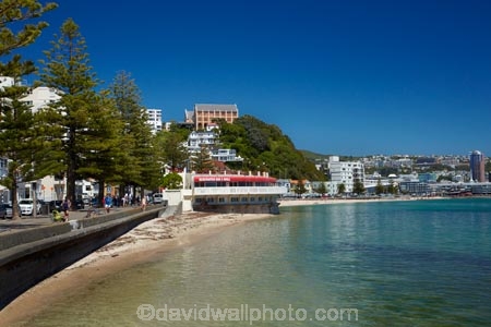 beach;beaches;Bluewater-Bar-amp;-Grill;Bluewater-Bar-and-Grill;Bluewater-Restaurant;Catholic-Church-Monastery-of-St-Gerard;coast;coastal;harbor;harbors;harbour;harbours;Monastery;Monastery-of-St-Gerard;Monateries;N.I.;N.Z.;New-Zealand;NI;North-Is.;North-Island;Nth-Is;NZ;Oriental-Bay;Oriental-Parade;Oriental-Pde;Port-Nicholson;St-Gerards-Monastery;Te-Whanganui_a_Tara;Wellington;Wellington-Harbor;Wellington-Harbour;Wellington-Waterfront