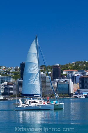 boat;boats;c.b.d.;catamaran;catamarans;CBD;central-business-district;cities;city;city-centre;cityscape;cityscapes;coast;coastal;down-town;downtown;Financial-District;harbor;harbors;harbour;harbours;high-rise;high-rises;high_rise;high_rises;highrise;highrises;Megisti;N.I.;N.Z.;New-Zealand;NI;North-Is.;North-Island;Nth-Is;NZ;office;office-block;office-blocks;office-building;office-buildings;offices;Port-Nicholson;sailboat;sailboats;Te-Whanganui_a_Tara;Wellington;Wellington-Harbor;Wellington-Harbour;Wellington-Waterfront;yacht;yachts