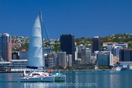 boat;boats;c.b.d.;catamaran;catamarans;CBD;central-business-district;cities;city;city-centre;cityscape;cityscapes;coast;coastal;down-town;downtown;Financial-District;harbor;harbors;harbour;harbours;high-rise;high-rises;high_rise;high_rises;highrise;highrises;Megisti;N.I.;N.Z.;New-Zealand;NI;North-Is.;North-Island;Nth-Is;NZ;office;office-block;office-blocks;office-building;office-buildings;offices;Port-Nicholson;sailboat;sailboats;Te-Whanganui_a_Tara;Wellington;Wellington-Harbor;Wellington-Harbour;Wellington-Waterfront;yacht;yachts
