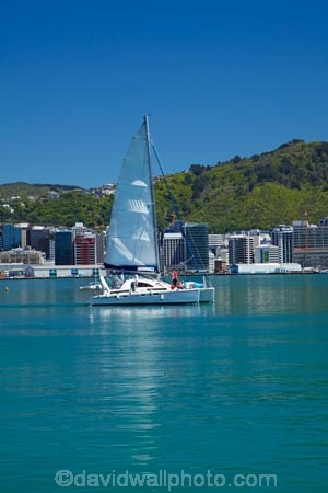 boat;boats;c.b.d.;catamaran;catamarans;CBD;central-business-district;cities;city;city-centre;cityscape;cityscapes;coast;coastal;down-town;downtown;Financial-District;harbor;harbors;harbour;harbours;high-rise;high-rises;high_rise;high_rises;highrise;highrises;Megisti;N.I.;N.Z.;New-Zealand;NI;North-Is.;North-Island;Nth-Is;NZ;office;office-block;office-blocks;office-building;office-buildings;offices;Port-Nicholson;sailboat;sailboats;Te-Ahumairangi-Hill;Te-Whanganui_a_Tara;Tinakori-Hill;Wellington;Wellington-Harbor;Wellington-Harbour;Wellington-Waterfront;yacht;yachts