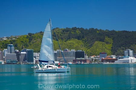 boat;boats;c.b.d.;catamaran;catamarans;CBD;central-business-district;cities;city;city-centre;cityscape;cityscapes;coast;coastal;down-town;downtown;Financial-District;harbor;harbors;harbour;harbours;high-rise;high-rises;high_rise;high_rises;highrise;highrises;Megisti;N.I.;N.Z.;New-Zealand;NI;North-Is.;North-Island;Nth-Is;NZ;office;office-block;office-blocks;office-building;office-buildings;offices;Port-Nicholson;sailboat;sailboats;Te-Ahumairangi-Hill;Te-Whanganui_a_Tara;Tinakori-Hill;Wellington;Wellington-Harbor;Wellington-Harbour;Wellington-Waterfront;yacht;yachts
