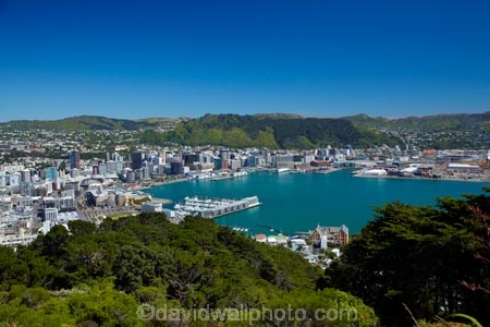 c.b.d.;Catholic-Church-Monastery-of-St-Gerard;CBD;central-business-district;cities;city;city-centre;cityscape;cityscapes;coast;coastal;down-town;downtown;Financial-District;harbor;harbors;harbour;harbours;high-rise;high-rises;high_rise;high_rises;highrise;highrises;Monastery;Monastery-of-St-Gerard;Monateries;Mount-Victoria;Mount-Victoria-Lookout;Mount-Victoria-Viewpoint;Mt.-Victoria;N.I.;N.Z.;New-Zealand;NI;North-Is.;North-Island;Nth-Is;NZ;office;office-block;office-blocks;office-building;office-buildings;offices;Port-Nicholson;St-Gerards-Monastery;Te-Ahumairangi-Hill;Te-Whanganui_a_Tara;Tinakori-Hill;view-Mt-Victoria;Wellington;Wellington-Harbor;Wellington-Harbour;Wellington-Waterfront