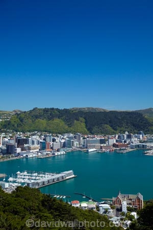 c.b.d.;Catholic-Church-Monastery-of-St-Gerard;CBD;central-business-district;Chaffers-Marina;cities;city;city-centre;cityscape;cityscapes;Clyde-Quay-Wharf-luxury-apartments;coast;coastal;down-town;downtown;Financial-District;harbor;harbors;harbour;harbours;high-rise;high-rises;high_rise;high_rises;highrise;highrises;Monastery;Monastery-of-St-Gerard;Monateries;Mount-Victoria;Mount-Victoria-Lookout;Mount-Victoria-Viewpoint;Mt.-Victoria;N.I.;N.Z.;New-Zealand;NI;North-Is.;North-Island;Nth-Is;NZ;office;office-block;office-blocks;office-building;office-buildings;offices;Port-Nicholson;St-Gerards-Monastery;Te-Ahumairangi-Hill;Te-Whanganui_a_Tara;Tinakori-Hill;view-Mt-Victoria;Wellington;Wellington-Harbor;Wellington-Harbour;Wellington-Waterfront