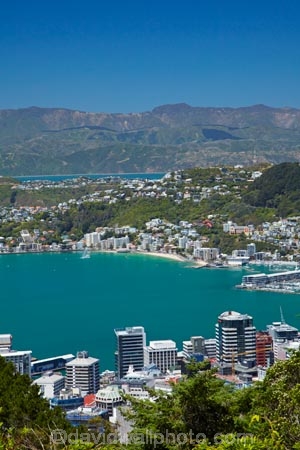 C.B.D.;CBD;Central-Business-District;coast;coastal;downtown;harbor;harbors;harbour;harbours;N.I.;N.Z.;New-Zealand;NI;North-Is.;North-Island;Nth-Is;NZ;Oriental-Bay;Oriental-Parade;Oriental-Pde;Port-Nicholson;Te-Ahumairangi-Hill;Te-Whanganui_a_Tara;Tinakori-Hill;Wellington;Wellington-Harbor;Wellington-Harbour;Wellington-Waterfront