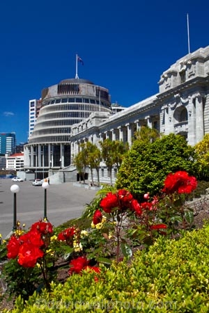 architectural;architecture;Beehive;building;buildings;capital;capitals;flower;flowers;government;governments;Grounds-of-Parliament;heritage;historic;historic-building;historic-buildings;historical;historical-building;historical-buildings;history;N.I.;N.Z.;New-Zealand;New-Zealand-Goverment;New-Zealand-Parliament;New-Zealand-Parliament-Buildings;NI;North-Is;North-Is.;North-Island;Nth-Is;NZ;NZ-Government;NZ-Parliament;old;Parliament;Parliament-Buildings;Parliament-Grounds;Parliament-House;pathway;pathways;rose;rose-garden;rose-gardens;roses;The-Beehive;tradition;traditional;Wellington