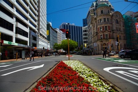 c.b.d.;CBD;central-business-district;cities;city;city-centre;cityscape;cityscapes;down-town;downtown;Financial-District;flower;flowers;garden;gardens;high-rise;high-rises;high_rise;high_rises;highrise;highrises;Lambton-Quay;N.I.;N.Z.;New-Zealand;NI;North-Is.;North-Island;Nth-Is;NZ;office;office-block;office-blocks;office-building;office-buildings;offices;red;Wellington;white