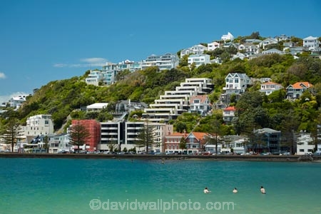 accommodation;apartment;apartments;cities;city;cityscape;cityscapes;coast;coastal;condo;condominium;condominiums;condos;harbor;harbors;harbour;harbours;holiday;holiday-accommodation;Holidays;N.I.;N.Z.;New-Zealand;NI;North-Is;North-Is.;North-Island;Nth-Is;NZ;Oriental-Bay;Oriental-Parade;Oriental-Pde;Port-Nicholson;residential;residential-apartment;residential-apartments;residential-building;residential-buildings;Te-Whanganui_a_Tara;Wellington;Wellington-Harbor;Wellington-Harbour;Wellington-Waterfront