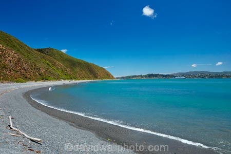 Camp-Bay;coast;coastal;coastline;coastlines;coasts;East-Harbour-Regional-Park;Eastbourne;harbor;harbour;N.I.;N.Z.;New-Zealand;NI;North-Is;North-Island;NZ;ocean;oceans;sea;seas;shore;shoreline;shorelines;shores;water;Wellington;Wellington-Harbor;Wellington-Harbour