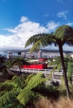 capital;fern;ferns;historic;historical;rail;red;Tourism;tourist;tram;tramway