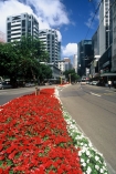 capital;government;skyline;sky-scrapers;offices;office;blocks;highrise;cbd;central;business;district;flower;flowers;red;garden;gardens;road;roads;street;streets