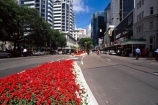 lambton-quay;wellington;skyline;sky-scrapers;offices;office;skyscraper;skyscrapers;sky-scraper;blocks;highrise;cbd;central;business;district;modern;architecture;edgy;city;cities;Exterior;Facade;Façade;Facades;Façades;cityscape;cityscapes;flower;flowers;red;garden;gardens;road;roads;street;streets