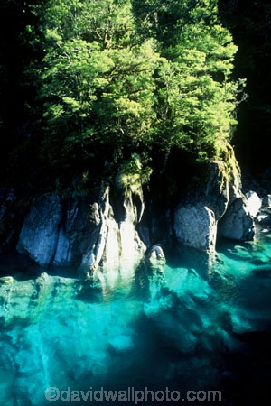 aqua;beech;blue;brook;brooks;bush;clear-water;color;colors;colour;colours;creek;creeks;green;Mt-Aspiring-National-Park;river;rivers;rock;rocks;stream;streams;teal;tree;trees;turqoise