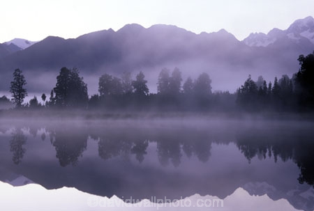 bush;calm;dawn;early-morning;fog;foggy;forest;forests;grey;lakes;magic;magical;mist;misty;mysterious;mystical;natural;nature;peace;peaceful;reflection;reflections;serene;tree;trees;water