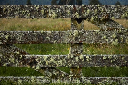 farm-gate;farm-gates;Fox-Glacier;gate;gates;gateway;gateways;lichen;lichen_covered;lichens;loss;N.Z.;New-Zealand;NZ;S.I.;SI;South-Is;South-Island;Sth-Is;West-Coast;Westland