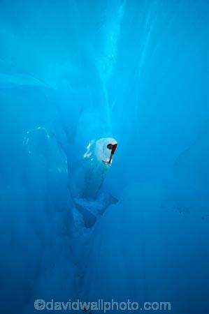 adventure;adventurous;alp;alpine;alps;Blue-Ice-Cave;blue-ice-caves;cave;caves;caving;climb;climbers;climbing;crampon;crampons;crevasse;crevasses;danger;exciting;exhilarating;Franz-Josef-Glacier;glacial;glacier;glaciers;heli-hike;heli-hiker;heli-hikers;heli_hike;heli_hiker;heli_hikers;hike;hiker;hikers;ice;ice-cave;ice-caves;ice-caving;icy;inside;main-divide;mount;mountain;mountainous;mountains;mountainside;mt;mt.;New-Zealand;outdoors;range;ranges;South-Island;South-West-New-Zealand-World-He;southern-alps;Te-Poutini-National-Park;Te-Wahipounamu;thrilling;trek;trekker;trekkers;West-Coast;westland;Westland-National-Park