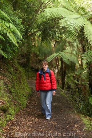beautiful;beauty;bush;endemic;fern;ferns;forest;forests;Great-Walk;green;Heaphy-Track;hike;hiker;hikers;hiking;Kahurangi-National-Park;Karamea;moss;mosses;mossy;national-park;national-parks;native;native-bush;natives;natural;nature;New-Zealand;Nothofagus;people;person;ponga;pongas;punga;pungas;rain-forest;rain-forests;rain_forest;rain_forests;rainforest;rainforests;scene;scenic;South-Island;southern-beeches;track;tracks;tramp;tramper;trampers;tramping;tree;tree-fern;tree-ferns;trees;trek;treker;trekers;treking;trekker;trekkers;trekking;walk;walker;walkers;walking;walking-track;walking-tracks;West-Coast;Westland
