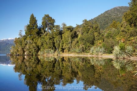 beautiful;beauty;bush;calm;endemic;flax;forest;forests;green;lake;Lake-Kaniere;lakes;N.Z.;native;native-bush;natives;natural;nature;New-Zealand;NZ;placid;quiet;rain-forest;rain-forests;rain_forest;rain_forests;rainforest;rainforests;reflection;reflections;S.I.;scene;scenic;serene;SI;smooth;South-Is.;South-Island;still;Sunny-Bight;tranquil;tree;trees;water;Wesl-Coast;Westland;wood;woods