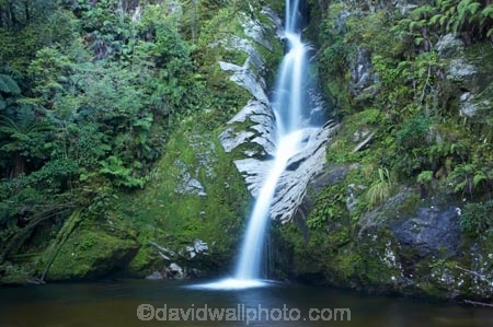 cascade;cascades;creek;creeks;Dorothy-Creek;Dorothy-Falls;falls;N.Z.;natural;nature;New-Zealand;NZ;pool;pools;S.I.;scene;scenic;SI;South-Is.;South-Island;stream;streams;water;water-fall;water-falls;waterfall;waterfalls;Wesl-Coast;Westland;wet