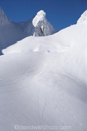 above;aerial;aerial-photo;aerial-photograph;aerial-photographs;aerial-photography;aerial-photos;aerial-view;aerial-views;aerials;alp;alpine;alps;backcountry;cold;danger;Franz-Josef-Glacier;glacial;glacier;glaciers;high-altitude;highcountry;ice;icy;main-divide;mount;Mount-Jervois;mountain;mountainous;mountains;mountainside;mt;Mt-Jervois;mt.;Mt.-Jervois;N.Z.;New-Zealand;NZ;outdoors;range;ranges;S.I.;SI;Ski-Tracks;snow;snowy;South-Is.;South-Island;South-West-New-Zealand-World-Heritage-Area;southern-alps;Te-Poutini-National-Park;Te-Wahipounamu;West-Coast;Westland;westland-national-park;White;winter;World-Heritage-Area