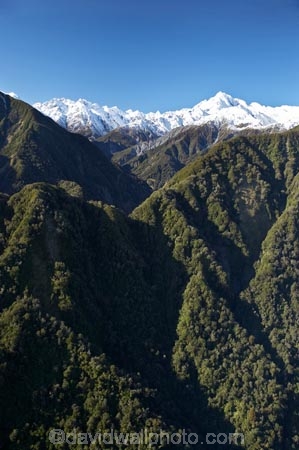 aerial;aerial-photo;aerial-photograph;aerial-photographs;aerial-photography;aerial-photos;aerial-view;aerial-views;aerials;altitude;Baird-Range;beautiful;beauty;beech-gap;Burster-Range;bush;bush-line;bush-lines;bush_line;bush_lines;bushline;bushlines;Callery-Valley;endemic;forest;forests;green;N.Z.;native;native-bush;natives;natural;nature;New-Zealand;NZ;rain-forest;rain-forests;rain_forest;rain_forests;rainforest;rainforests;S.I.;scene;scenic;SI;snow-line;snow-lines;snow_line;snow_lines;snowline;snowlines;South-Is.;South-Island;South-West-New-Zealand-World-Heritage-Area;Te-Poutini-National-Park;Te-Wahipounamu;timber;tree;tree-line;tree-lines;tree-trunk;tree-trunks;tree_line;tree_lines;treeline;treelines;trees;trunk;trunks;water;West-Coast;Westland;westland-national-park;wood;woods;World-Heritage-Area