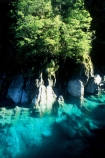 aqua;beech;blue;brook;brooks;bush;clear-water;color;colors;colour;colours;creek;creeks;green;Mt-Aspiring-National-Park;river;rivers;rock;rocks;stream;streams;teal;tree;trees;turqoise