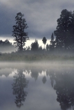 bush;calm;dawn;early-morning;fog;foggy;forest;forests;grey;lakes;magic;magical;mist;misty;mysterious;mystical;natural;nature;peace;peaceful;reflection;reflections;serene;tree;trees;water