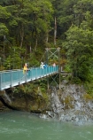 Beech-Forest;Blue-Pools;Blue-Pools-Track;Blue-Pools-Walk;Blue-River;bridge;bridges;brook;brooks;bush;creek;creeks;foot-bridge;foot-bridges;footbridge;footbridges;forest;forests;Haast-Pass;Makarora;Mount-Aspiring-National-Park;Mt-Aspiring-N.P.;Mt-Aspiring-National-Park;Mt-Aspiring-NP;N.Z.;national-park;national-parks;native-bush;native-forest;native-forests;native-tree;native-trees;native-woods;natural;nature;New-Zealand;NZ;Otago;pedestrian-bridge;pedestrian-bridges;people;person;river;rivers;S.I.;SI;South-Is;South-Island;Sth-Is;stream;streams;suspension-bridge;suspension-bridges;swing-bridge;swing-bridges;tourism;tourist;tourists;travel;tree;trees;water;West-Coast;Westland;wire-bridge;wire-bridges;wood;woods