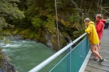 Beech-Forest;Blue-Pools;Blue-Pools-Track;Blue-Pools-Walk;Blue-River;bridge;bridges;brook;brooks;creek;creeks;female;females;foot-bridge;foot-bridges;footbridge;footbridges;girl;Haast-Pass;M.R.;Makarora;model-release;model-released;Mount-Aspiring-National-Park;MR;Mt-Aspiring-N.P.;Mt-Aspiring-National-Park;Mt-Aspiring-NP;N.Z.;national-park;national-parks;New-Zealand;NZ;Otago;pedestrian-bridge;pedestrian-bridges;people;person;river;rivers;S.I.;SI;South-Is;South-Island;Sth-Is;stream;streams;suspension-bridge;suspension-bridges;swing-bridge;swing-bridges;tourism;tourist;tourists;travel;water;West-Coast;Westland;wire-bridge;wire-bridges;woman;women