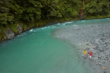 Blue-Pools;Blue-Pools-Track;Blue-Pools-Walk;bush;forest;forests;Haast-Pass;Makarora;Makarora-River;Mount-Aspiring-National-Park;Mt-Aspiring-N.P.;Mt-Aspiring-National-Park;Mt-Aspiring-NP;N.Z.;national-park;national-parks;native-bush;native-forest;native-forests;native-tree;native-trees;native-woods;natural;nature;New-Zealand;NZ;Otago;river;rivers;S.I.;SI;South-Is;South-Island;Sth-Is;tree;trees;West-Coast;Westland;wood;woods