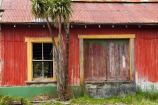 abandoned;building;buildings;cabbage-tree;corrugated-iron;corrugated-steel;derelict;Greymouth;heritage;historic;historical;history;New-Zealand;old;Old-Ice-Cream-Factory;south-island;West-Coast;westland