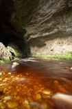 cave;cavern;caverns;caves;grotto;grottos;Kahurangi-National-Park;Karamea;limestone;limestone-formation;limestone-formations;national-park;national-parks;New-Zealand;Oparara-Arch;Oparara-Basin;Oparara-River;river;rivers;South-Island;speleology;spelunk;spelunking;tannin;tannin-stained;tannin-stained-river;tannin-stained-water;tannin_stained;tannin_stained-river;tannin_stained-water;underground;underground-cavern;underground-caverns;West-Coast;Westland