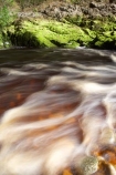 Kahurangi-National-Park;Karamea;national-park;national-parks;New-Zealand;Oparara-Basin;Oparara-River;rapid;rapids;river;rivers;South-Island;tannin;tannin-stained;tannin-stained-river;tannin-stained-water;tannin_stained;tannin_stained-river;tannin_stained-water;West-Coast;Westland;white-water