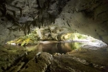 cave;cavern;caverns;caves;grotto;grottos;Kahurangi-National-Park;Karamea;limestone;limestone-formation;limestone-formations;Moira-Gate-Arch;national-park;national-parks;New-Zealand;Oparara-Basin;Oparara-River;South-Island;speleology;spelunk;spelunking;stalactite;stalactites;underground;underground-cavern;underground-caverns;West-Coast;Westland