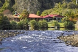 accommodation;Blue-River;eco-tourism;eco-tourist;eco-tourists;eco_tourism;eco_tourist;eco_tourists;ecotourism;ecotourist;ecotourists;flax;flaxes;heritage-area;holiday;holidaying;holidays;Lake-Moeraki-Wilderness-Lodge;lodge;lodges;luxury-lodge;luxury-lodges;Moeraki-River;N.Z.;New-Zealand;NZ;phormium;phormium-sp;river;rivers;S.I.;SI;South-Island;te-wahi-pounamu;te-wahipounamu;te-wahipounamu-south_west-new-zealand-world-heritage-area;tourism;travel;traveling;travelling;vacation;vacationing;vacations;West-Coast;Westland;Wilderness-Lodge-Lake-Moeraki;world-heirtage-site;world-heirtage-sites;world-heritage-area;world-heritage-areas