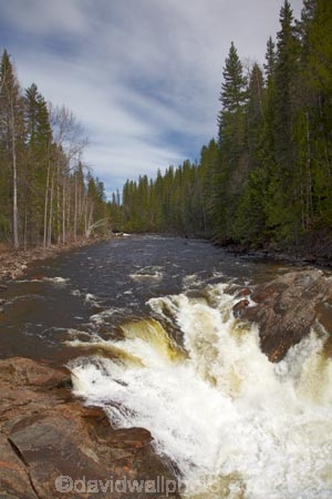 B.C.;BC;British-Columbia;British-Columbian-Rockies;Canada;Canadian;Canadian-Cordillera;Canadian-Rockies;Canadian-Rocky-Mountain-Parks;cascade;cascades;creek;creeks;Dawson-Falls;Dawson-Waterfall;Dawson-Waterfalls;falls;la-Colombie_Britannique;mountainside;mountainsides;Murtle-River;natural;nature;North-America;North-American-Cordillera;North-American-Rocky-Mountains-Range;river;rivers;Rocky-Mountains;Rocky-Mountains-Range;scene;scenic;steep;stream;streams;water;water-fall;water-falls;waterfall;waterfalls;Wells-Gray-Park;Wells-Gray-Provincial-Park;Wells-Gray-Provincial-Pk;Western-Canada;Western-Cordillera;wet