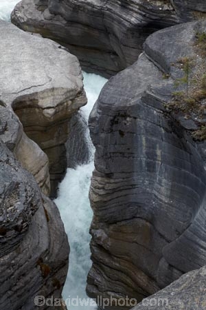 AB;Alberta;Albertas-Rockies;Banff-N.P.;Banff-National-Park;Banff-NP;Canada;Canadian;Canadian-Cordillera;Canadian-Rockies;Canadian-Rocky-Mountain-Parks;Canadian-Rocky-Mountain-Parks-World-Heritage-Site;canyon;canyons;cascade;cascades;creek;creeks;eroded;erosion;falls;gorge;gorges;Icefield-Parkway;Icefields-Parkway;Mistaya-Canyon;Mistaya-River;national-park;national-parks;natural;nature;North-America;North-American-Cordillera;North-American-Rocky-Mountains-Range;ravine;ravines;Rocky-Mountains;Rocky-Mountains-Range;scene;scenic;slot-canyon;slot-canyons;stream;streams;UN-world-heritage-area;UN-world-heritage-site;UNESCO-World-Heritage-area;UNESCO-World-Heritage-Site;united-nations-world-heritage-area;united-nations-world-heritage-site;water;water-fall;water-falls;waterfall;waterfalls;Western-Canada;Western-Cordillera;wet;world-heritage;world-heritage-area;world-heritage-areas;World-Heritage-Park;World-Heritage-site;World-Heritage-Sites